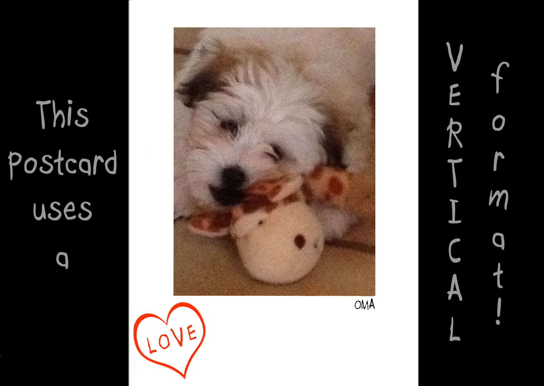X-tra! Valentine's Day - Puppy Love ii