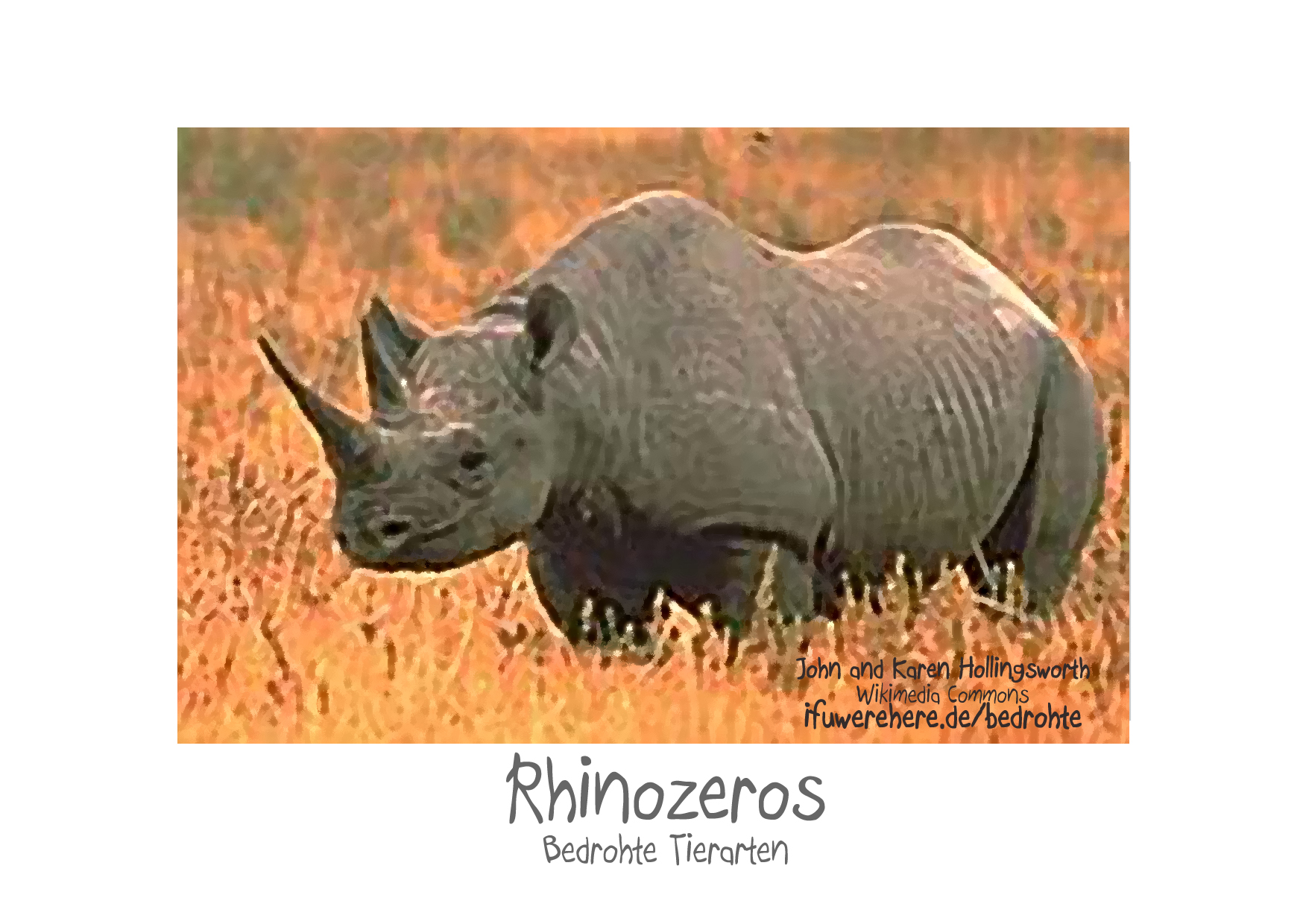 Rhinozeros